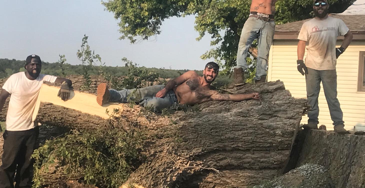 Pow wow look, point, predict. PLAN