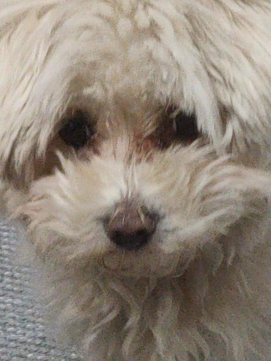 Maria belén Perez García