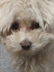 Maria belén Perez García