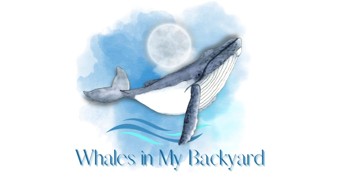 Whales in My Backyard