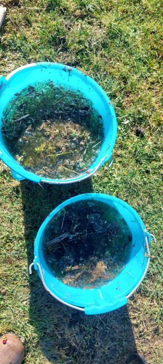 Helping wild to thrive