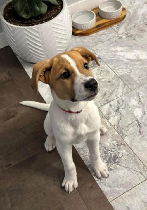 Melinda Vieira Vieira