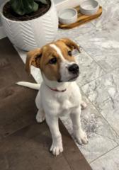 Melinda Vieira Vieira