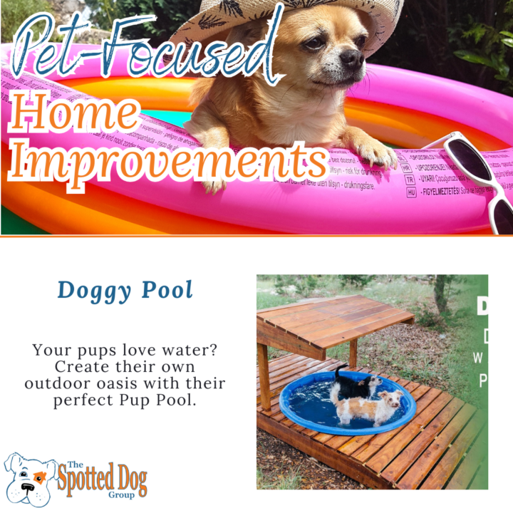 PET FOCUSED HOME IMPROVEMENTS