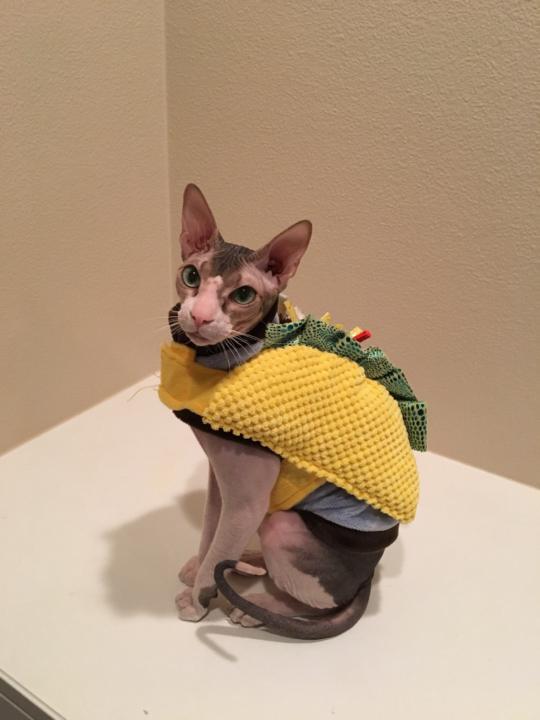 Mariaelena Rodriguez