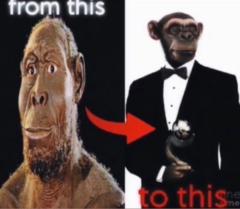 Pierrick Bellerophon