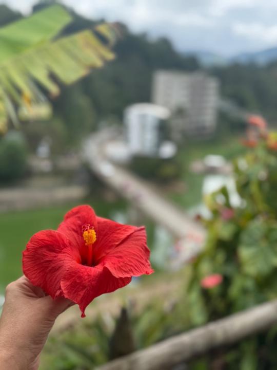 Kirenya Kirenya Rodriguez