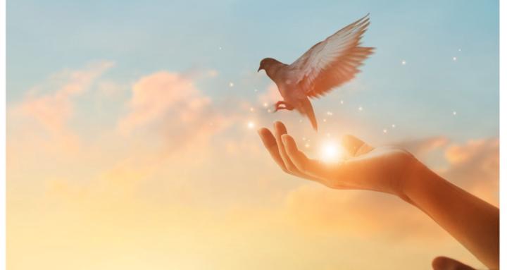 ACTIVATED - Autoimmune Freedom