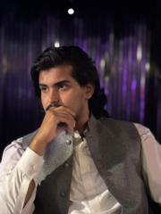 Muhammad Zakria