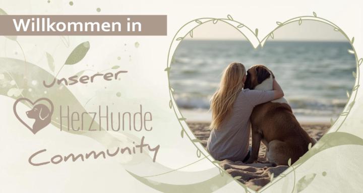 HerzHunde