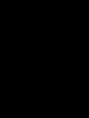 Tara Y