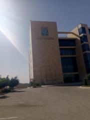Shahd Odeh