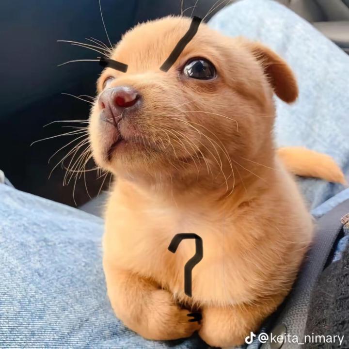 Joshua vladimir Garcia vilchis