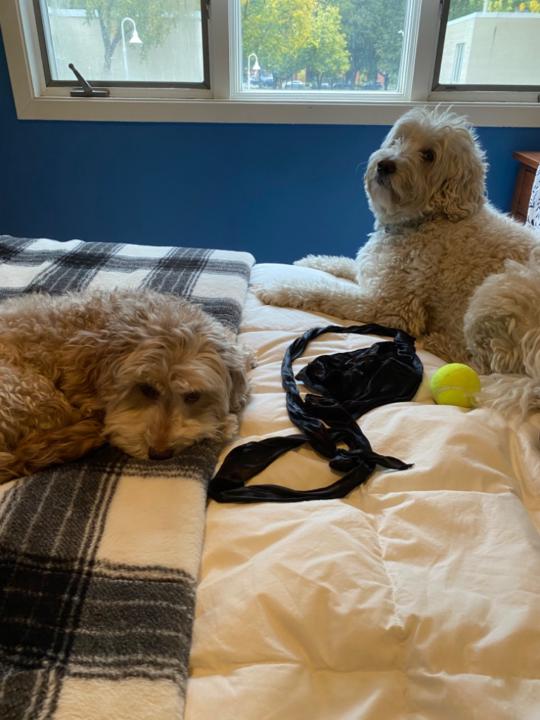 Elijah Rompala-matthews