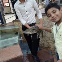 Yassin Elnahas