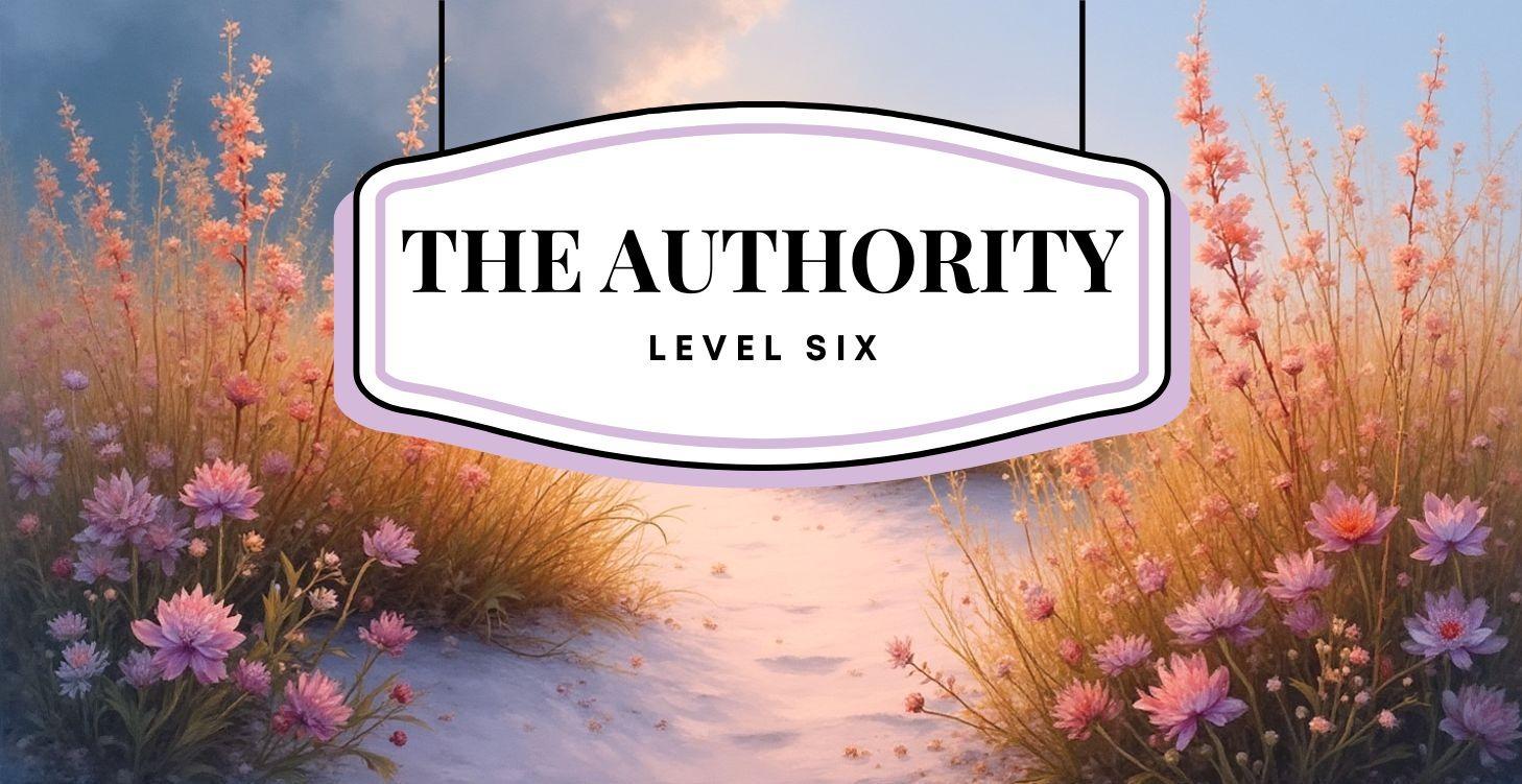 Level 6 - 👑 The Authority