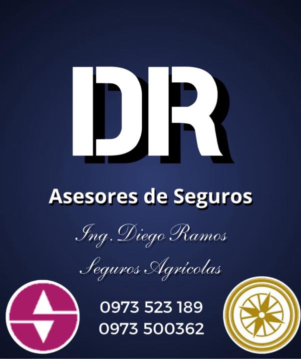 Diego Gilberto Ramos González