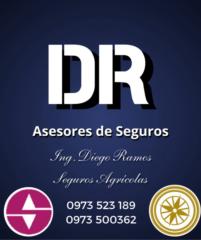 Diego Gilberto Ramos González