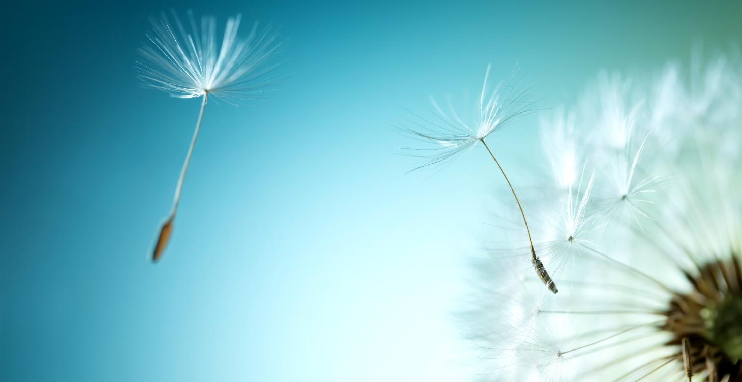 Endometriosis Explained: An Integrative Approach