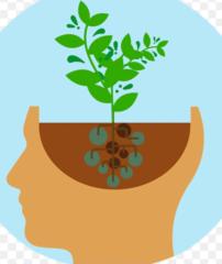 Hind Oulad Bouchettta