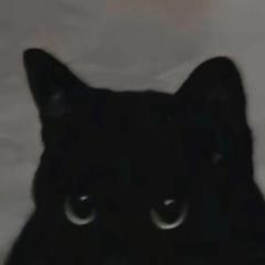 Wendy M