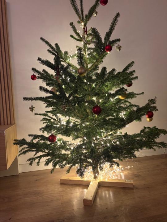 Claudia Cobos Valero