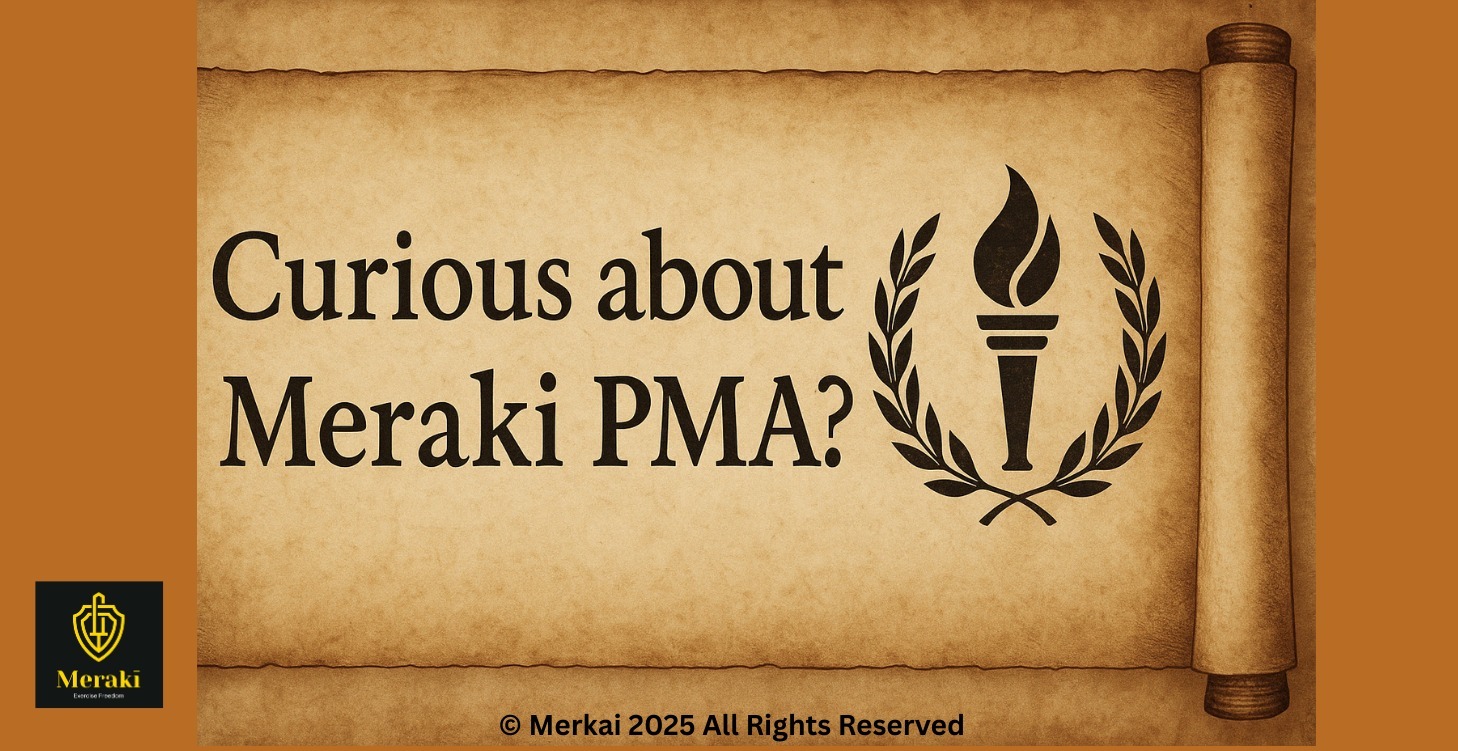 Curious about Meraki PMA?