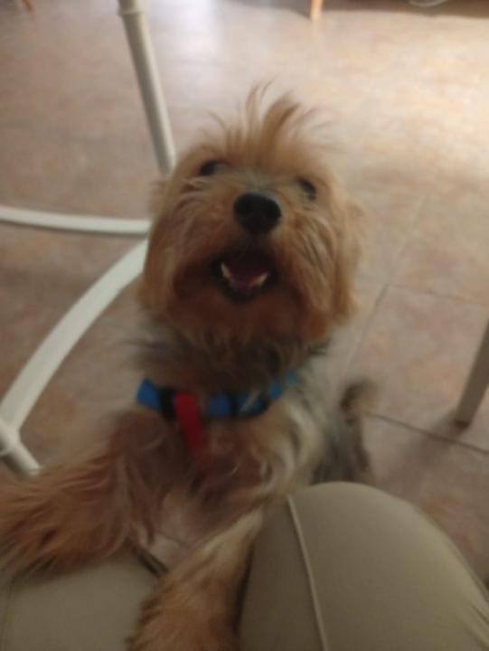 Daniel Barnes Ribadas