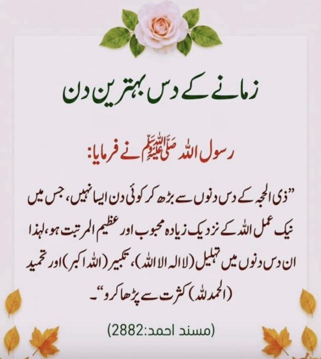 Amber Kashif