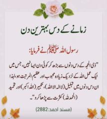 Amber Kashif