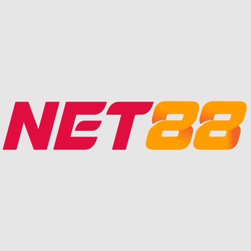 Net Vi co