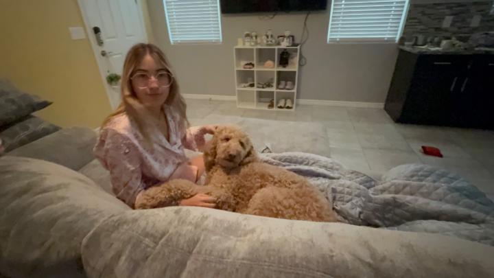 Spongebob Squarepants