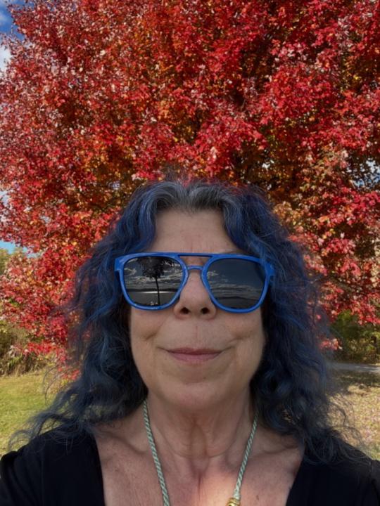 Rosemarie Costantini