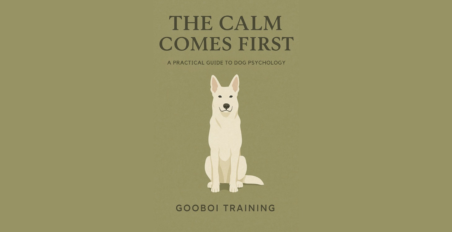 Book: The Calm Comes First