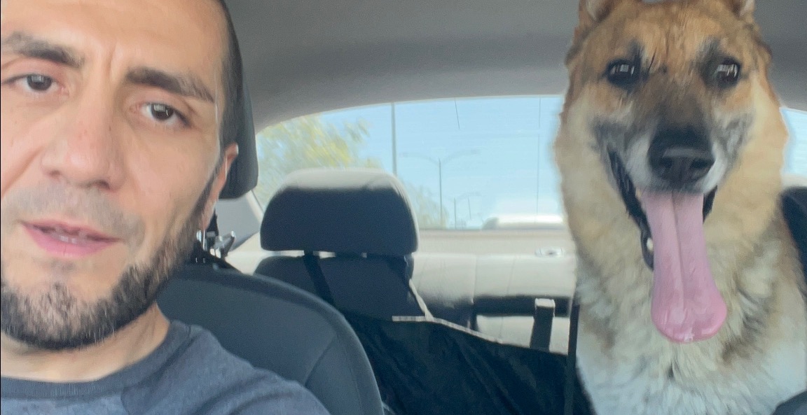 Shelter Dogs - Real Transformations