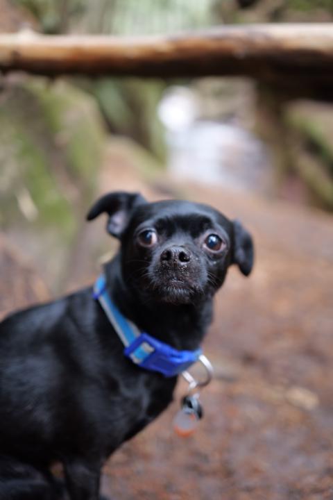 Capture Chaos Productions SKOOL is born!