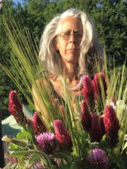 Imke Schilter