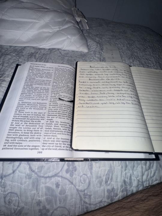 Nehemiah ch 10-12