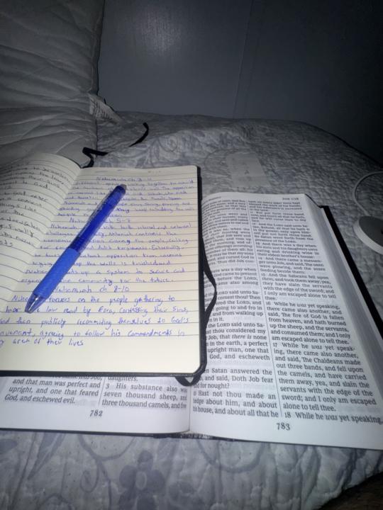 Nehemiah ch 8-10