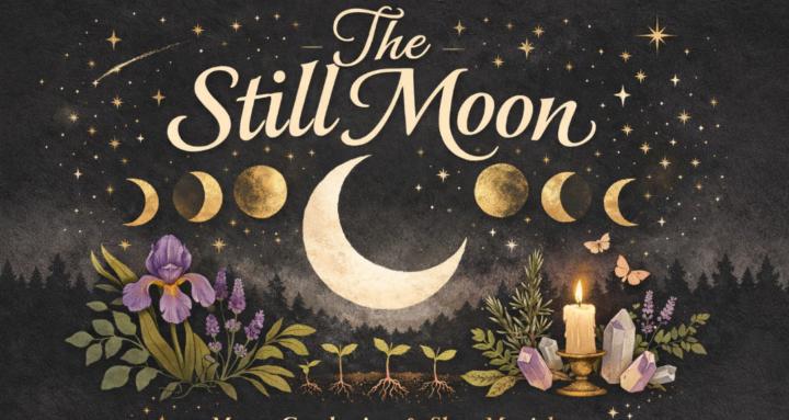 The Still Moon