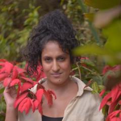 Azadi Asha Sudha