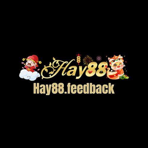 Hay Feedback