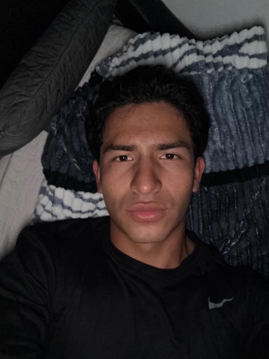 Orlin Bustillo