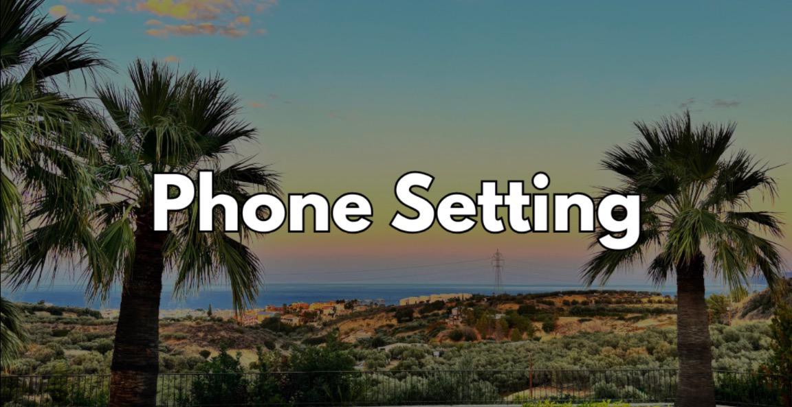 Phone Setting