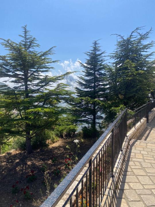 Nouha Choufani