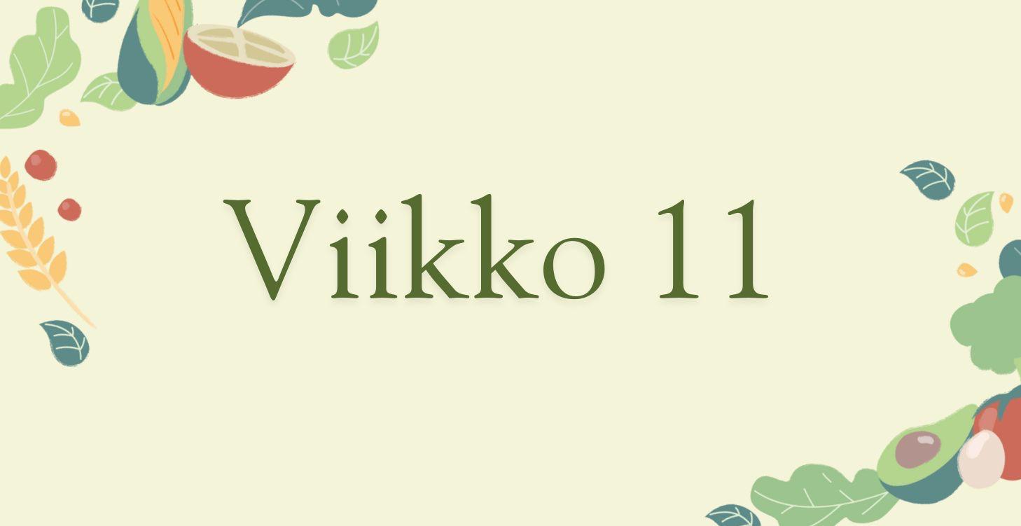 Viikko 11