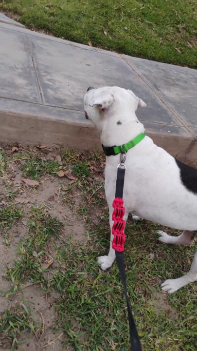 Facundo Rosales Cuba