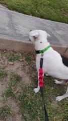 Facundo Rosales Cuba