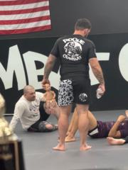 Rogue Combat