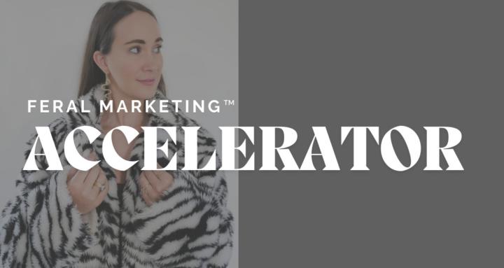 Feral Marketing Accelerator 